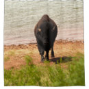 Search for bison shower curtains Nature