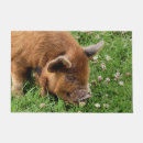 Search for pig doormats Farm animals