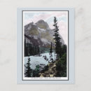 Search for stephen postcards Vintage