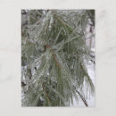 Search for ice plant postcards Winter