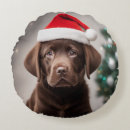 Search for chocolate labrador cushions Puppy
