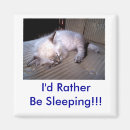 Search for sleep magnets Girls