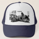 Search for french bulldog hats Puppies