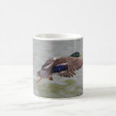 Search for flight mugs Ducks