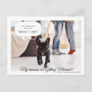Search for dog photo save the dates Modern
