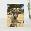 Search for goat birthday Over the hill