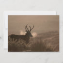 Search for stags invitations Silhouette