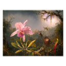 Search for pink orchid posters Martin johnson heade