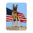 Search for malinois magnets Belgian