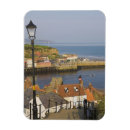 Search for harbour magnets House