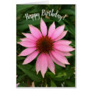 Search for coneflowers cards Floral