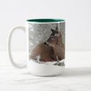 Search for orange and white mugs Wildlife