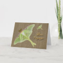 Search for luna moth postcards Bug
