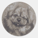 Search for spaniel stickers Purebred