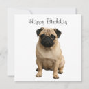 Search for pug cards Animal