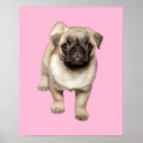 Search for loveable art Puppy