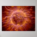 Search for sphere posters Circular