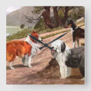 Search for collie clocks Animals