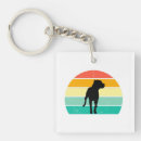 Search for bullie accessories Pittie