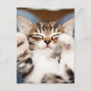 Search for lap postcards Animal