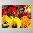 Search for yellow tulip posters Floral