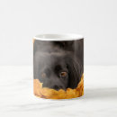Search for animals mugs Autumn