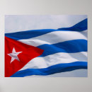 Search for fidel castro posters Revolution