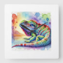Search for agama Animals