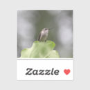 Search for blur stickers Background