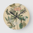 Search for insect clocks Caterpillars