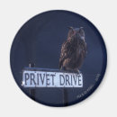 Search for sorcerer magnets Jk rowling