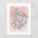 Search for butterflys postcards For her