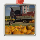 Search for veg christmas tree decorations Fall