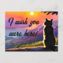 Search for miss you postcards Sunset