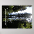 Search for pine tree art Woods