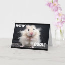 Search for gerbil photography Hamster