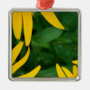 Search for susan christmas tree decorations Black eyed susan