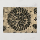 Search for white pine postcards Cones