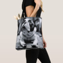 Search for interest bags Cute