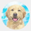 Search for golden retriever dog stickers Watercolor