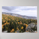 Search for mountain forest posters Trees