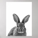 Search for black and white rabbit posters Bunny