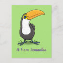 Search for toucans postcards Illustration