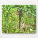 Search for dragonfly and damselfly electronics Animal