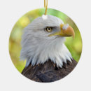 Search for eagle christmas tree decorations Animal
