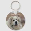 Search for pyrenees key rings Animals