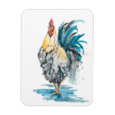 Search for rooster magnets Farm