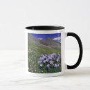 Search for colorado state mugs Colourful