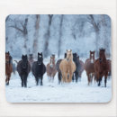 Search for horse mousepads Snow