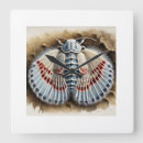 Search for insect clocks Animals